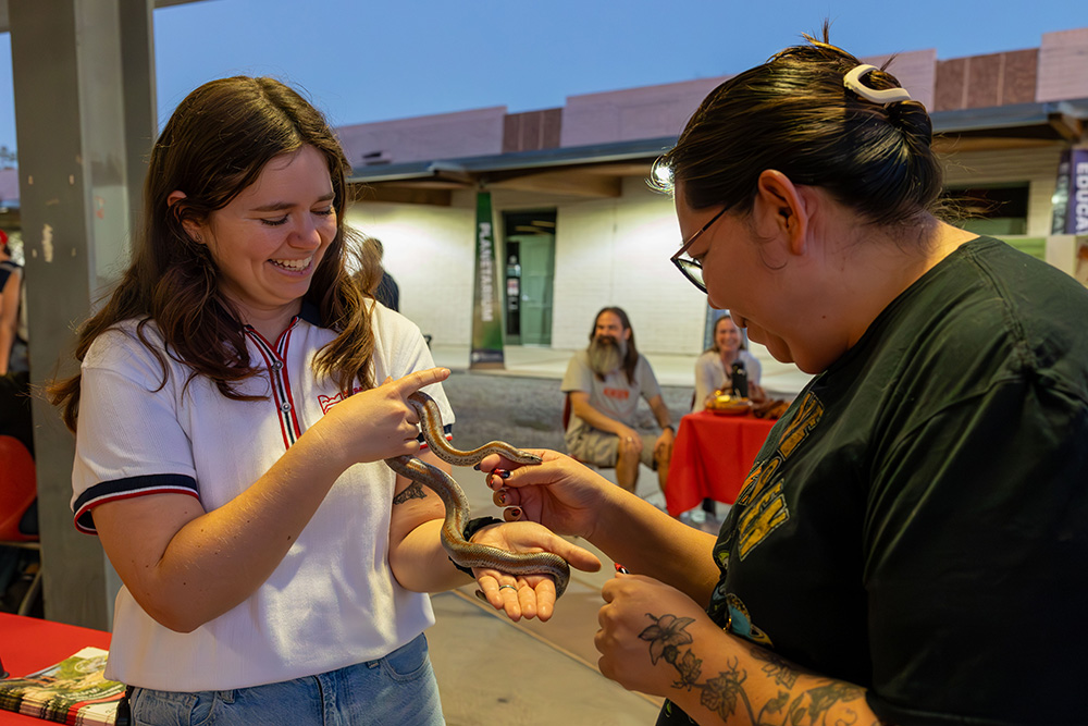 STEAM Night - Visitors holding a snake